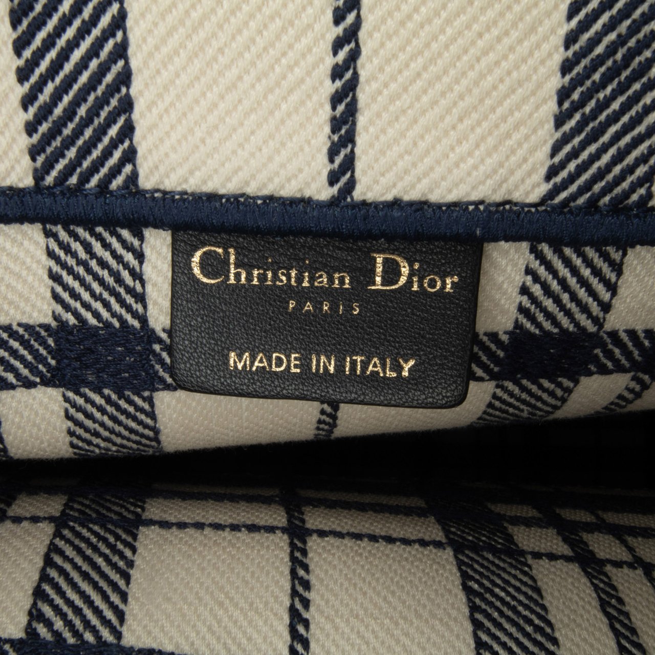 Dior Large Check n Dior Book Tote Blauw