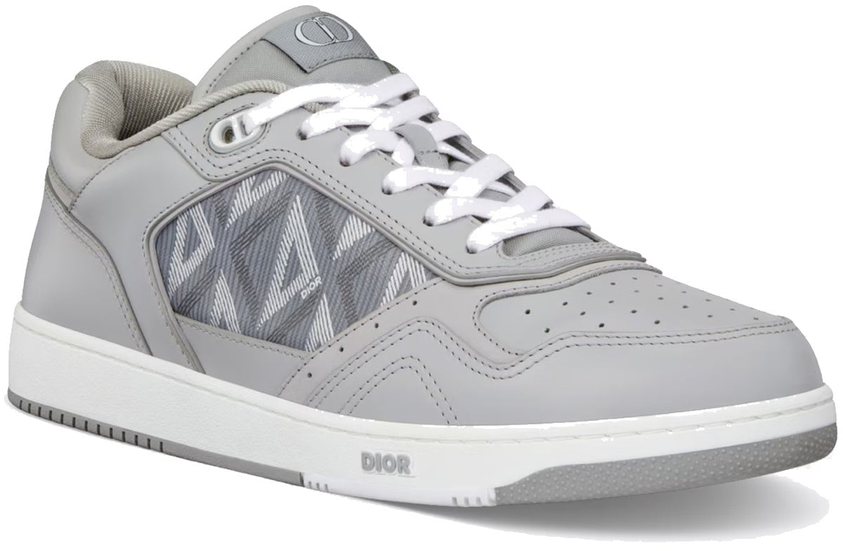 Dior Dior B27 Leather Sneakers Grijs