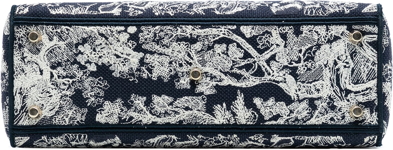Dior Large Embroidered Canvas Toile de Jouy Lady D Lite Blauw