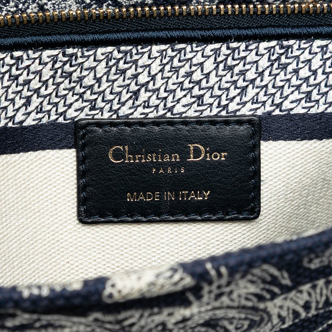 Dior Large Embroidered Canvas Toile de Jouy Lady D Lite Blauw