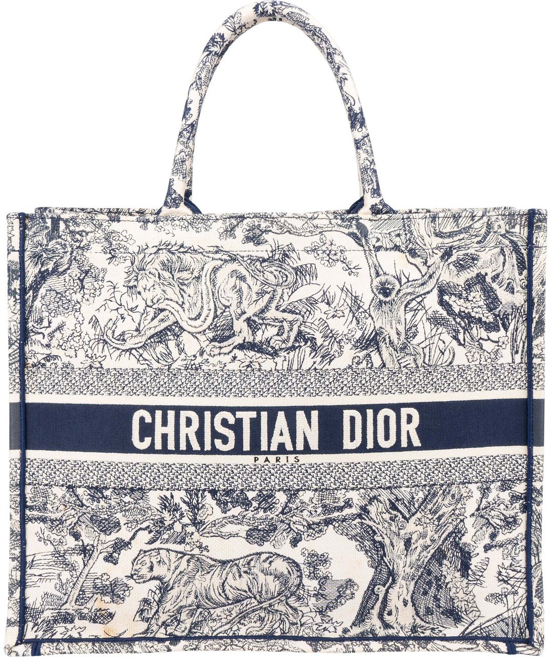 Dior Christian Dior Dioriviera Monogram Large Book Tote Handbag Blauw