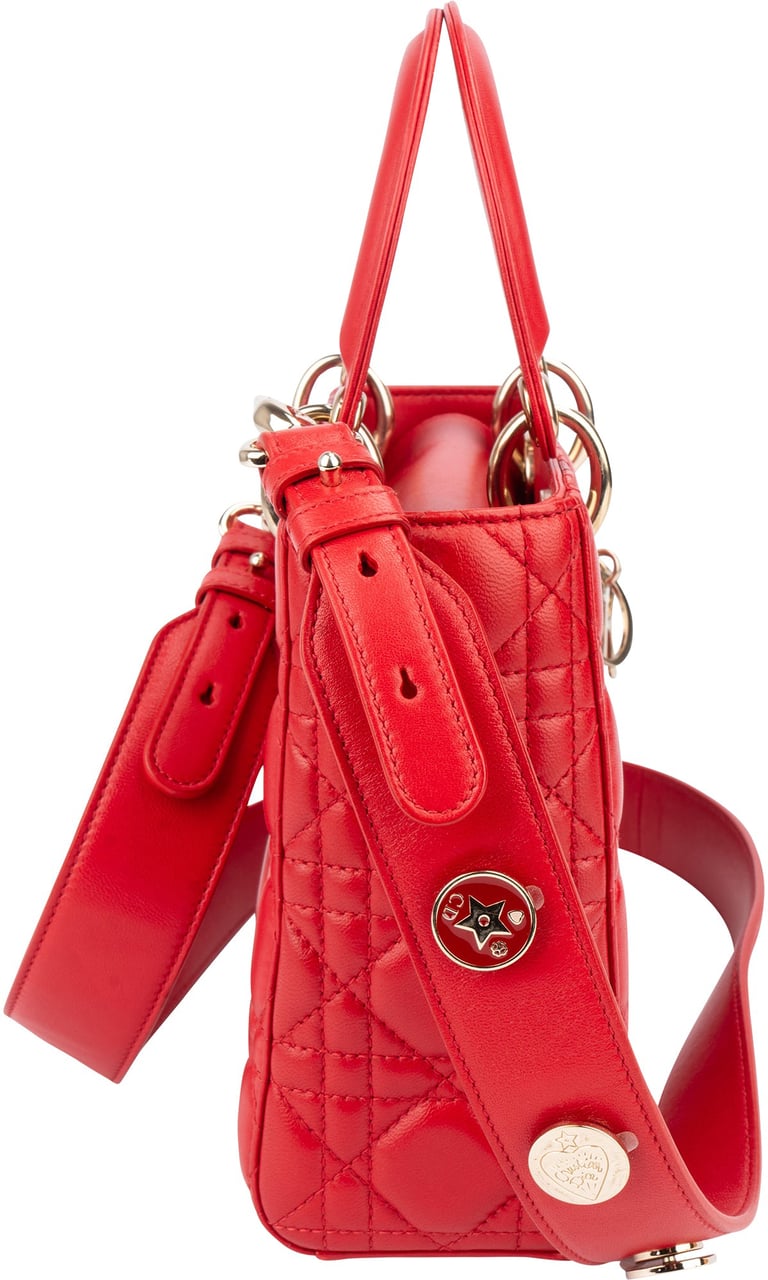 Dior Christian Dior Quilted Leather ABC Lady Dior Handbag Rood