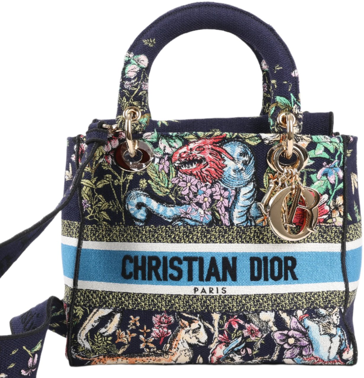 Dior Dior Lady D-Lite Canvas D-Constellation Embroidered Medium 2Way Handbag in Multicolor Divers