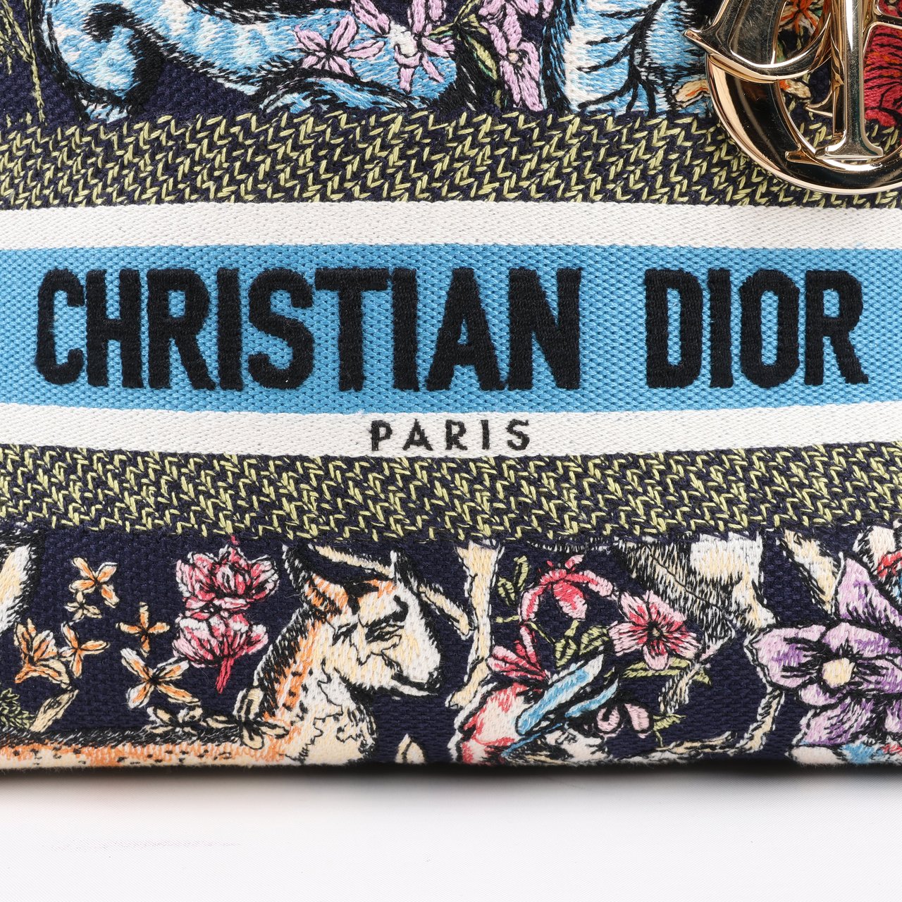 Dior Dior Lady D-Lite Canvas D-Constellation Embroidered Medium 2Way Handbag in Multicolor Divers