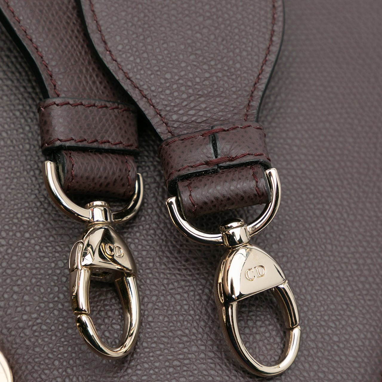 Dior Large Grained Calfskin Lady D Sire Rood