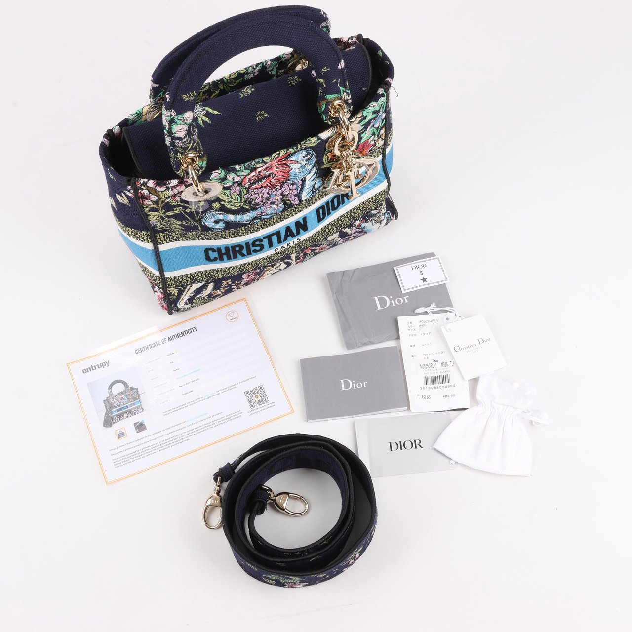 Dior Dior Lady D-Lite Canvas D-Constellation Embroidered Medium 2Way Handbag in Multicolor Divers