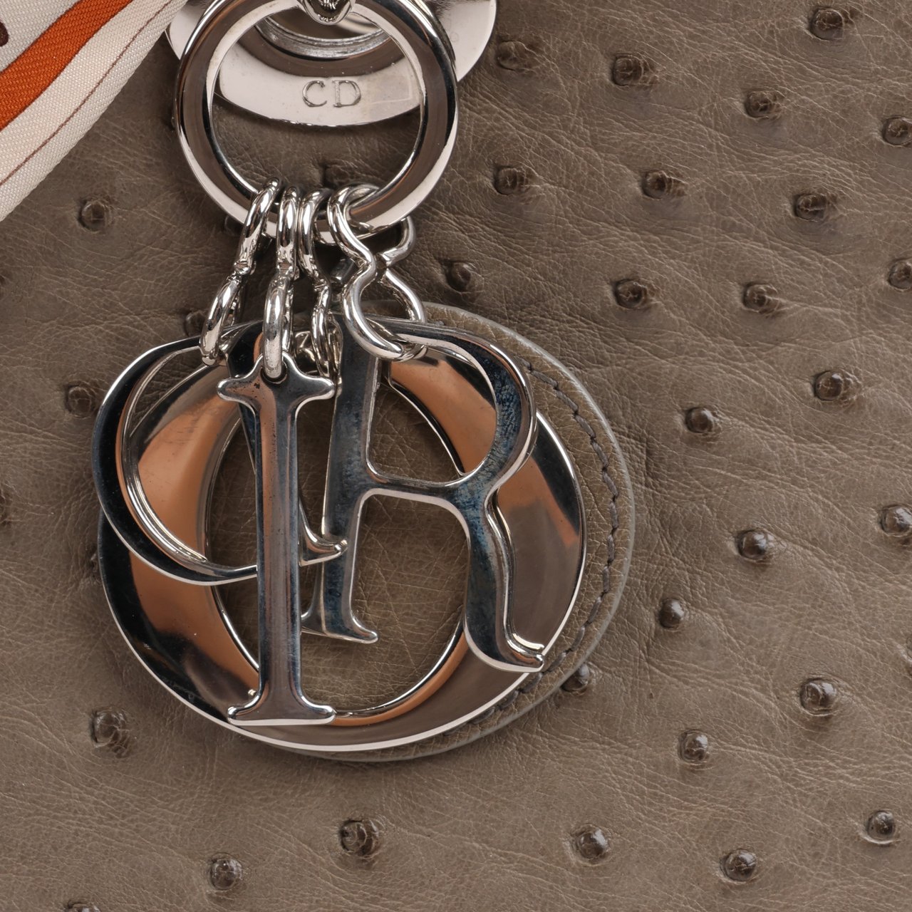 Dior Dior Lady Dior Ostrich Large 2Way Handbag in Brown Bruin