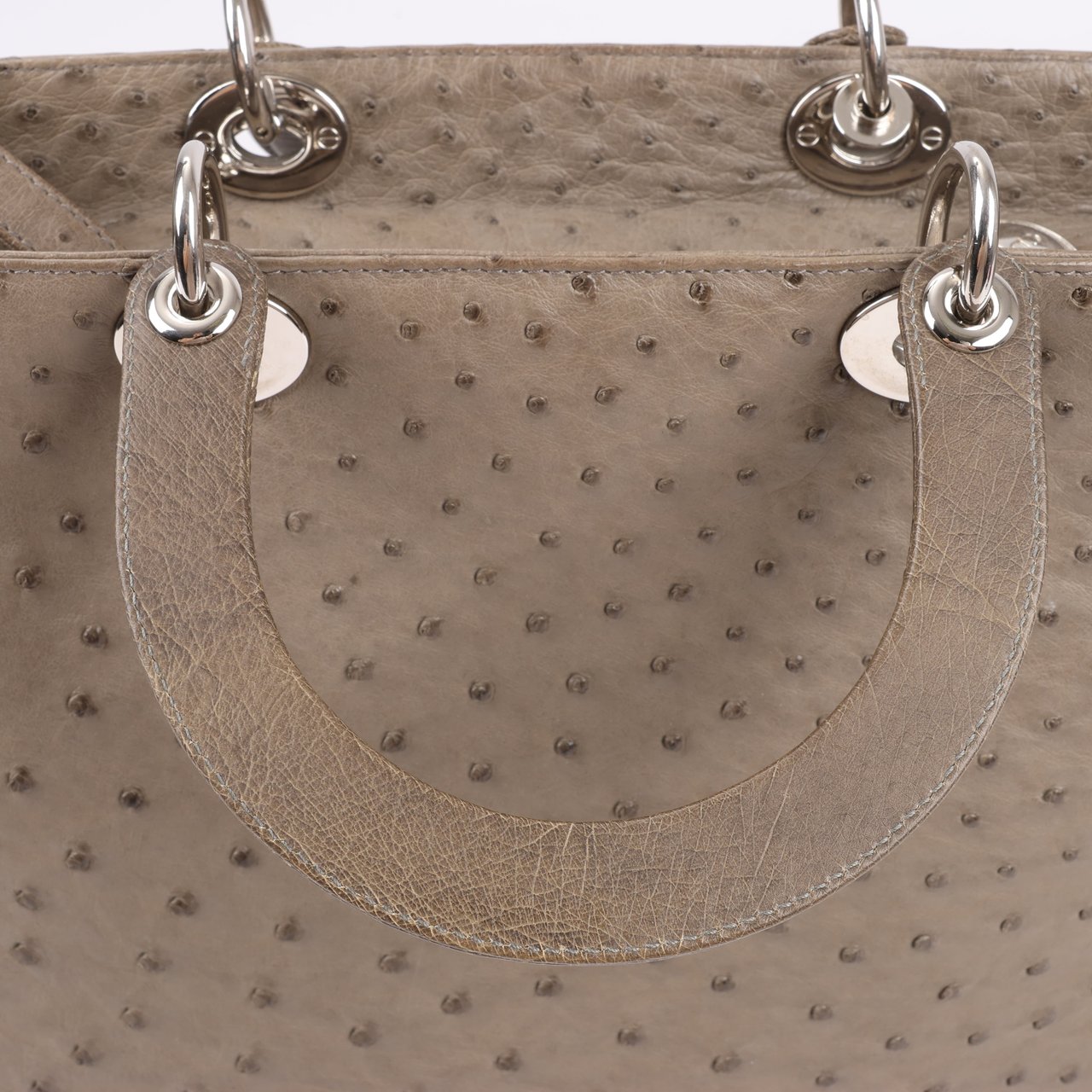 Dior Dior Lady Dior Ostrich Large 2Way Handbag in Brown Bruin