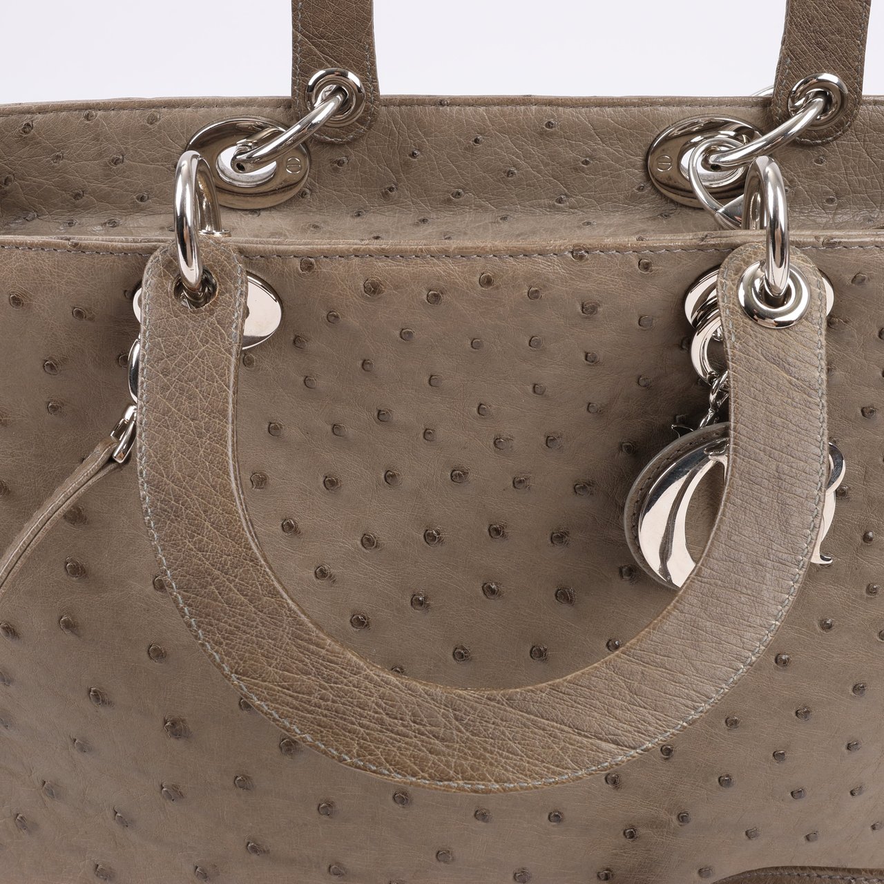 Dior Dior Lady Dior Ostrich Large 2Way Handbag in Brown Bruin