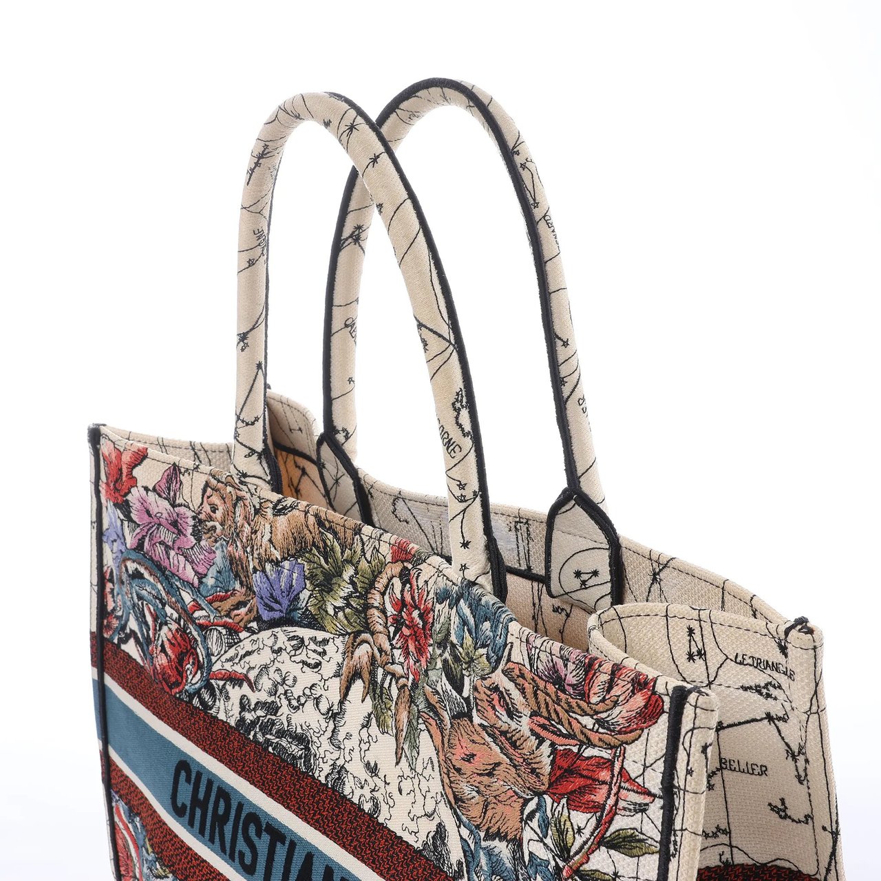 Dior Book Tote Large Zodiac Canvas Handbag in Multicolor Divers