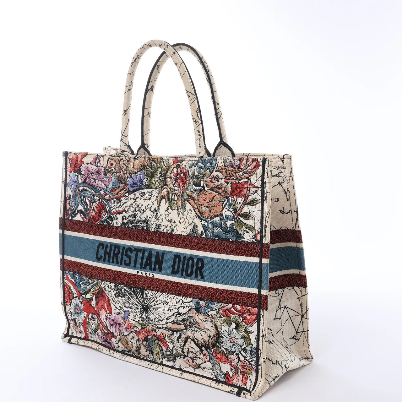 Dior Book Tote Large Zodiac Canvas Handbag in Multicolor Divers
