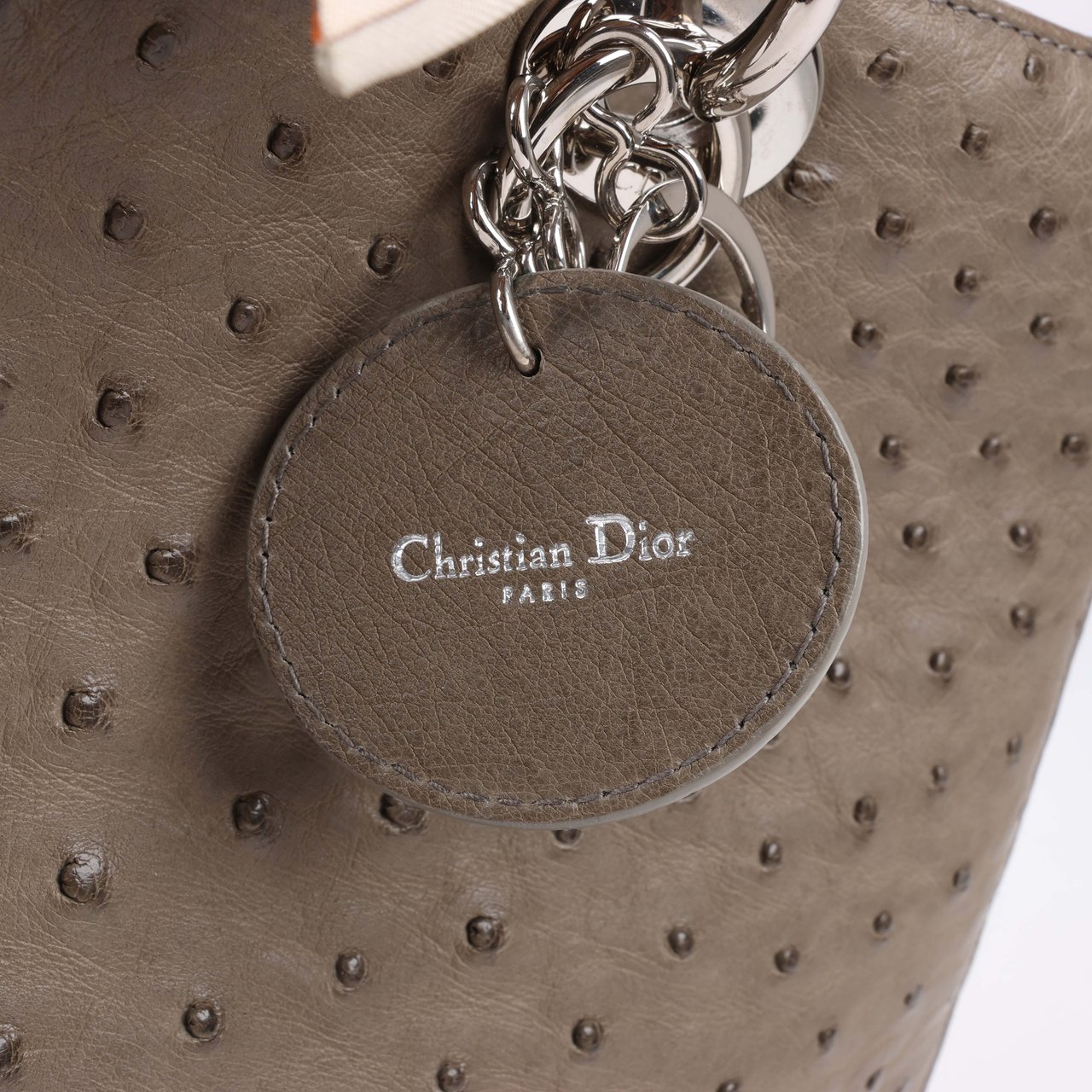 Dior Lady Dior Ostrich Large 2Way Handbag in Brown Bruin
