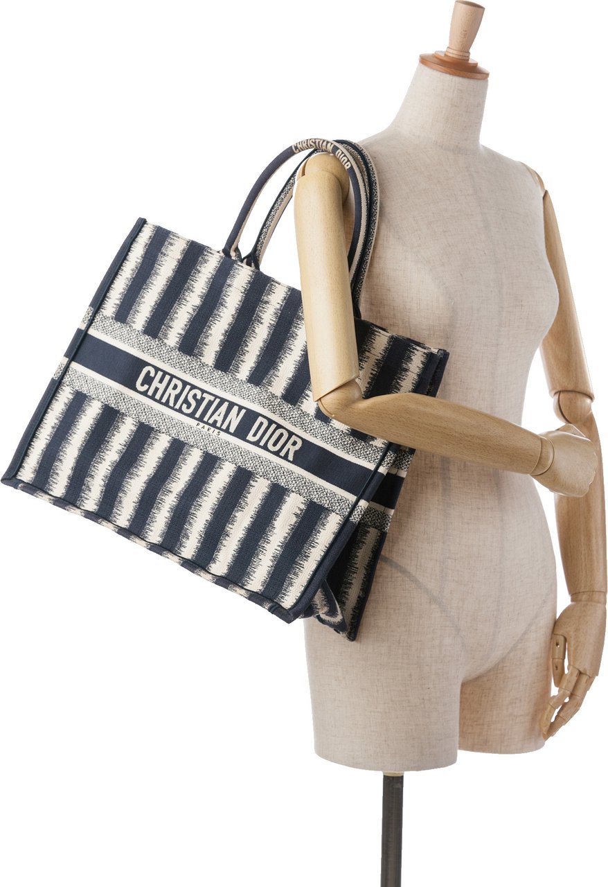 Dior Large Striped Book Tote Blauw