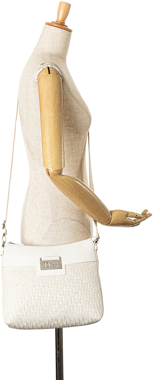 Dior Diorissimo Street Chic Crossbody Bruin