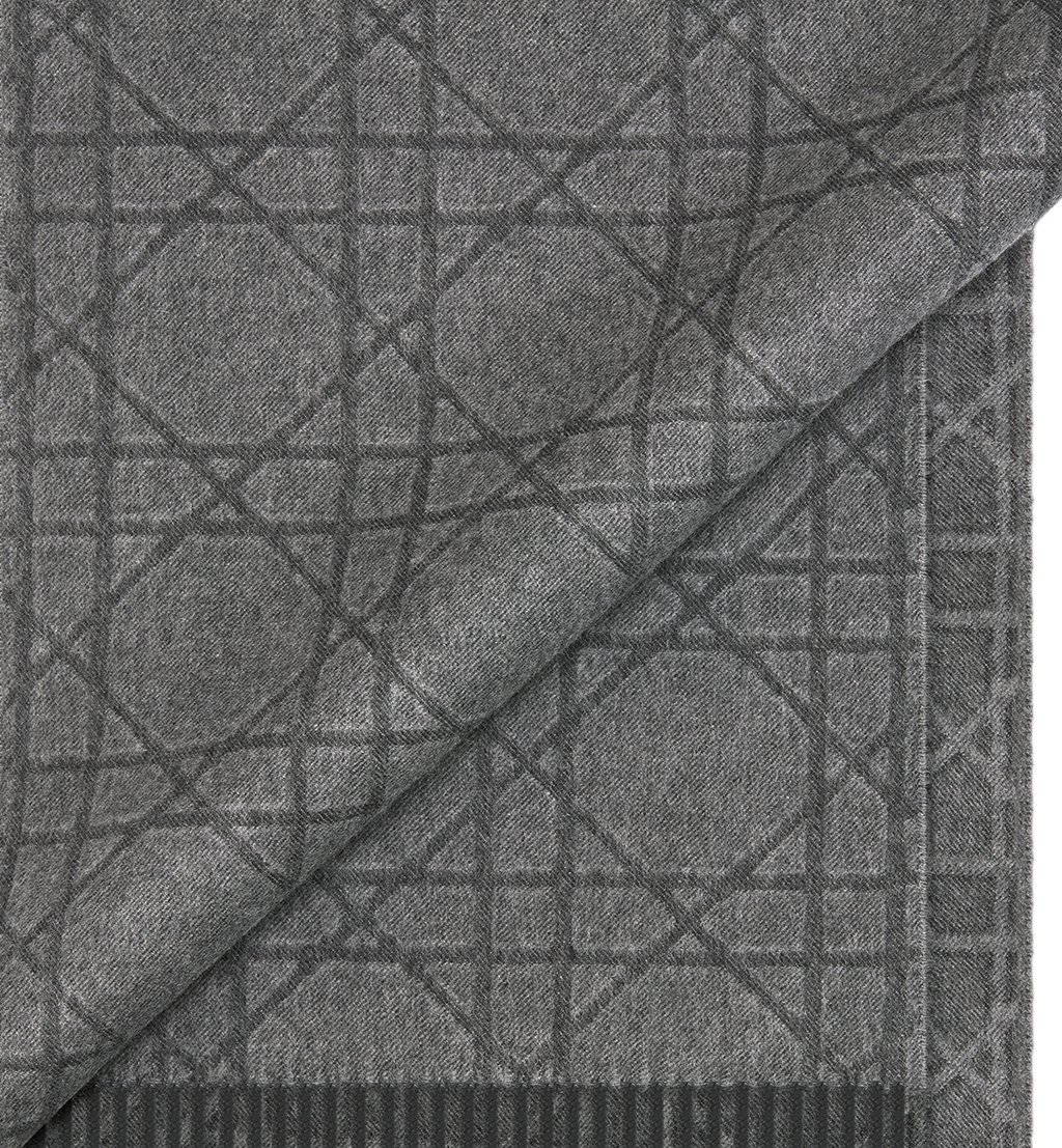 Dior Paph Geometric Pattern Cashmere Scarf Grijs