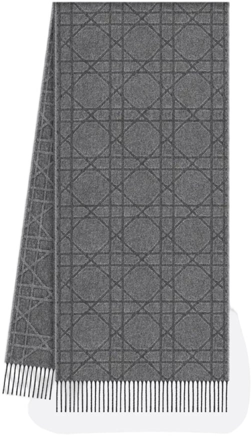 Dior Paph Geometric Pattern Cashmere Scarf Grijs