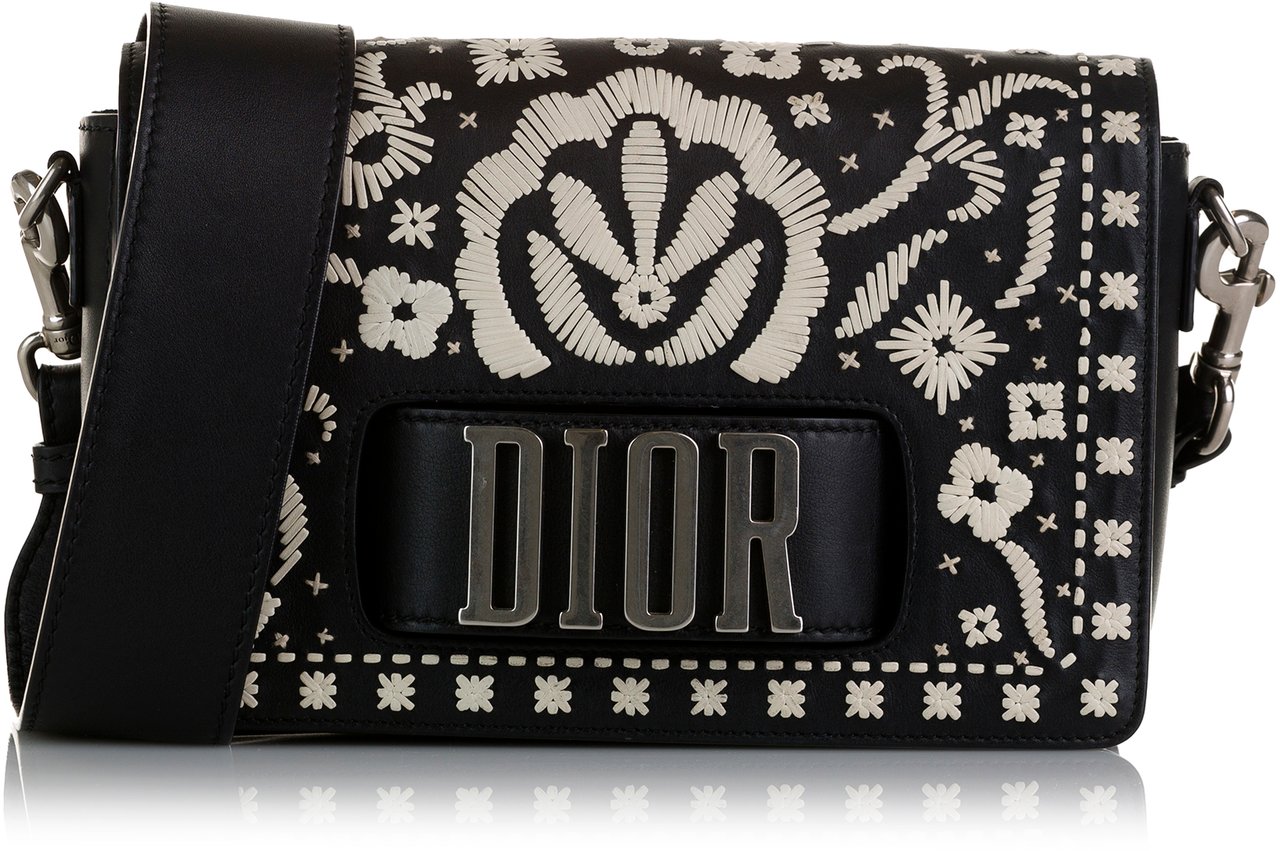 Dior Medium Embroidered Dio(r)evolution Flap Zwart