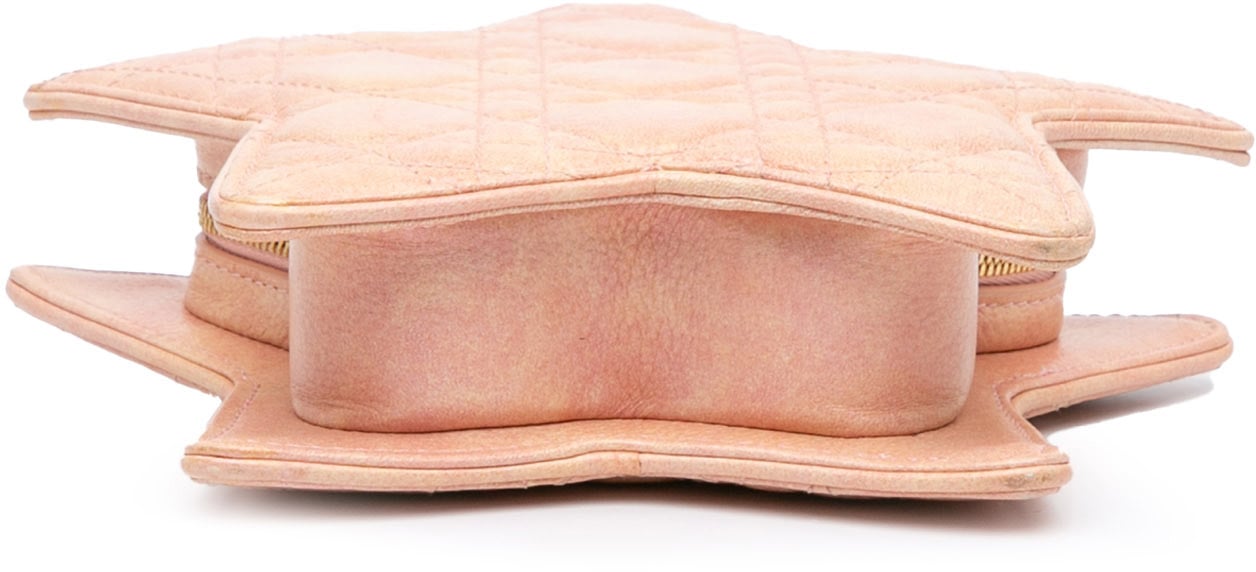 Dior Lambskin Cannage Kids Star Crossbody Roze