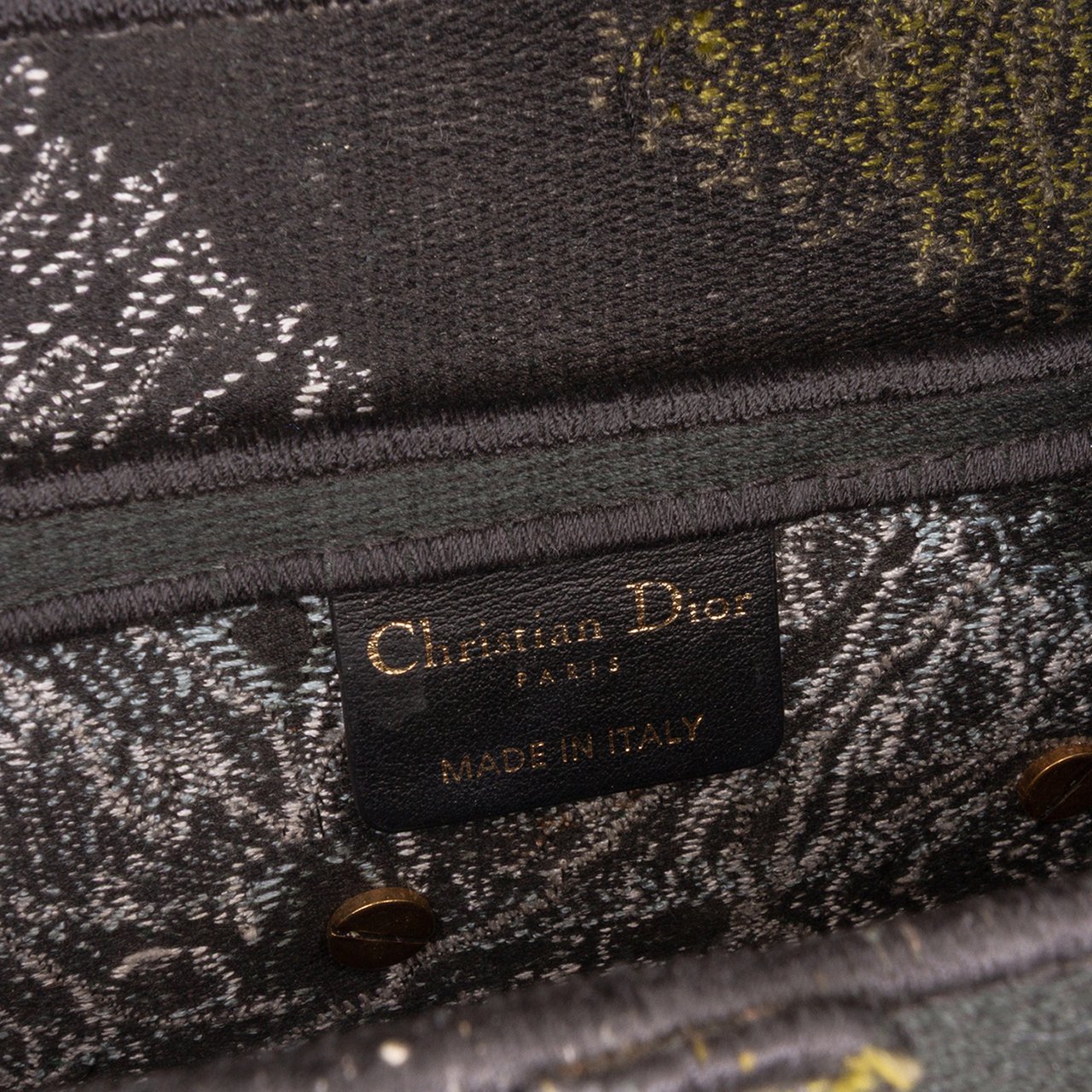 Dior Canvas Embroidered Tie Dye Saddle Bag Groen