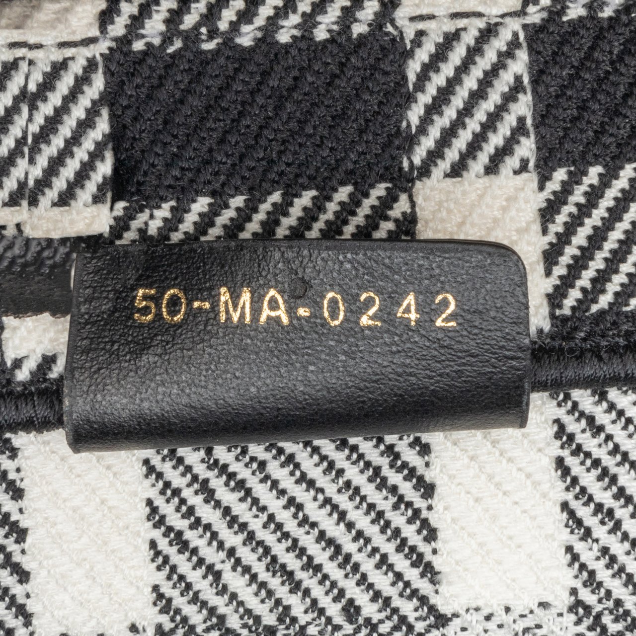 Dior Large Check'n'Dior Book Tote Wit