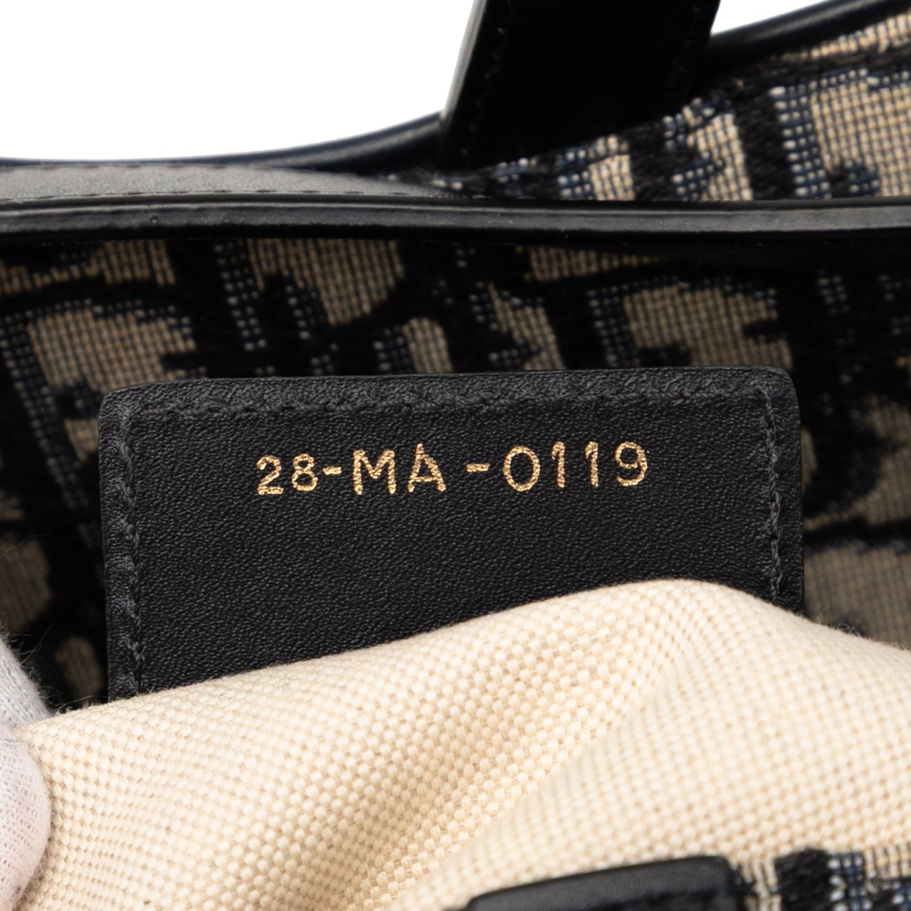 Dior Oblique Canvas Saddle Bag Blauw