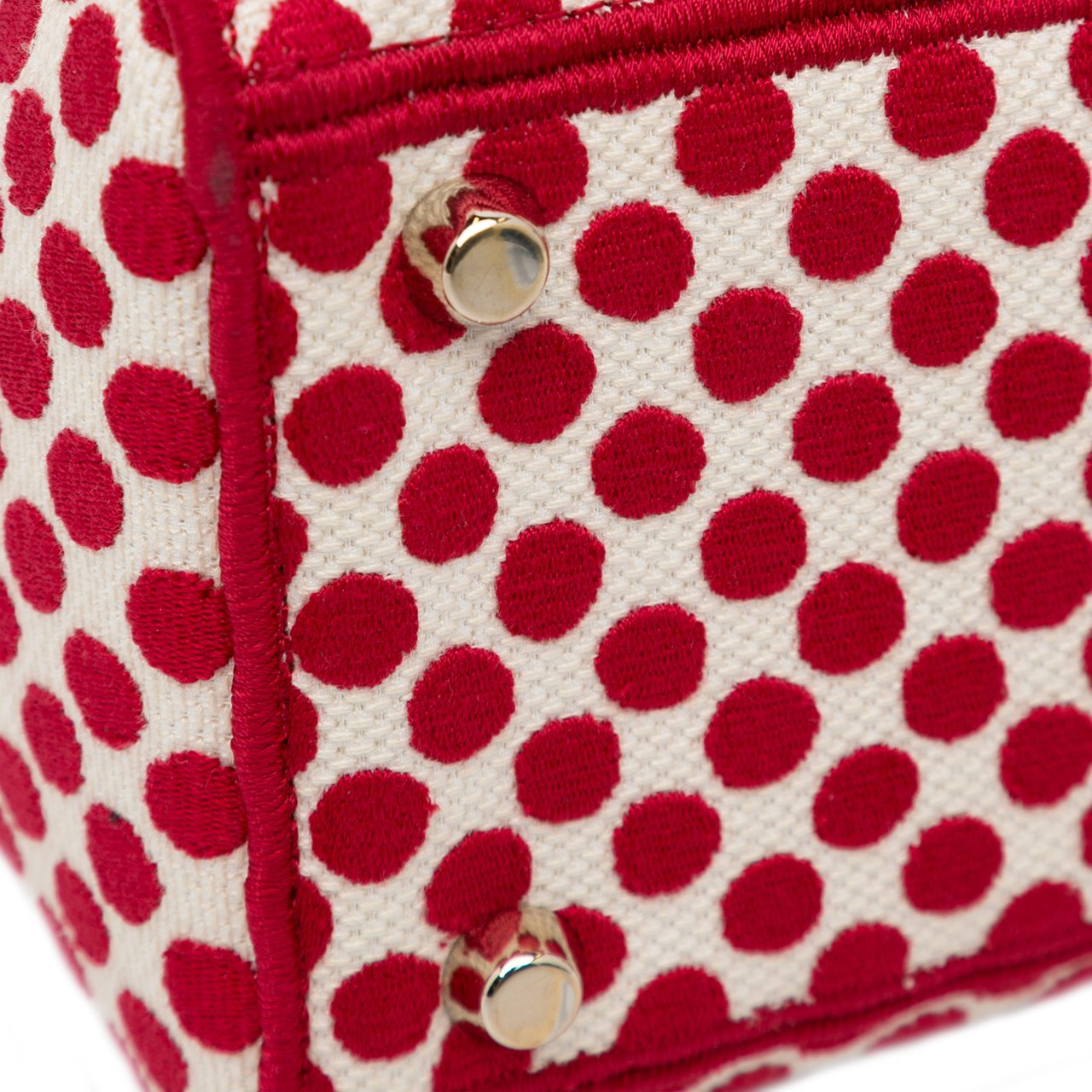 Dior DiorAmour Medium Embroidered Canvas Dots Lady D Lite Rood