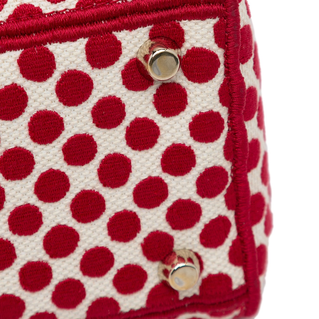 Dior DiorAmour Medium Embroidered Canvas Dots Lady D Lite Rood