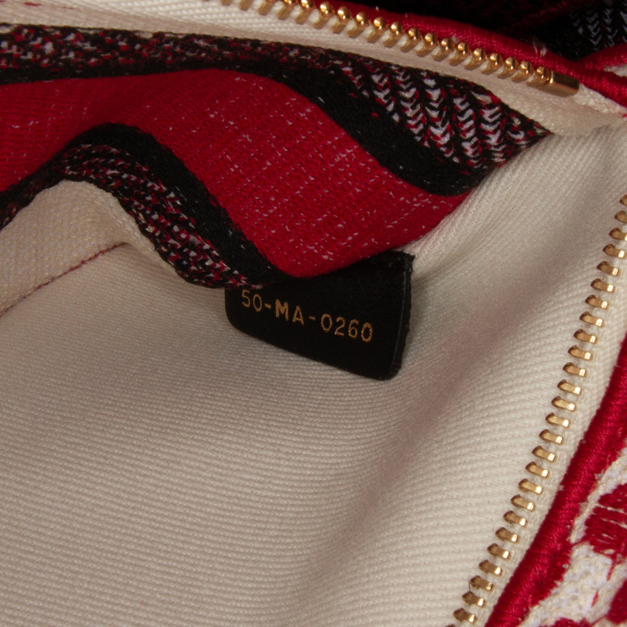 Dior DiorAmour Medium Embroidered Canvas Dots Lady D Lite Rood