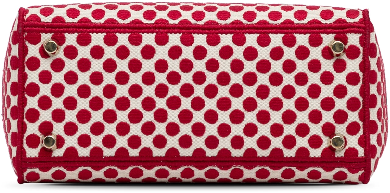 Dior DiorAmour Medium Embroidered Canvas Dots Lady D Lite Rood