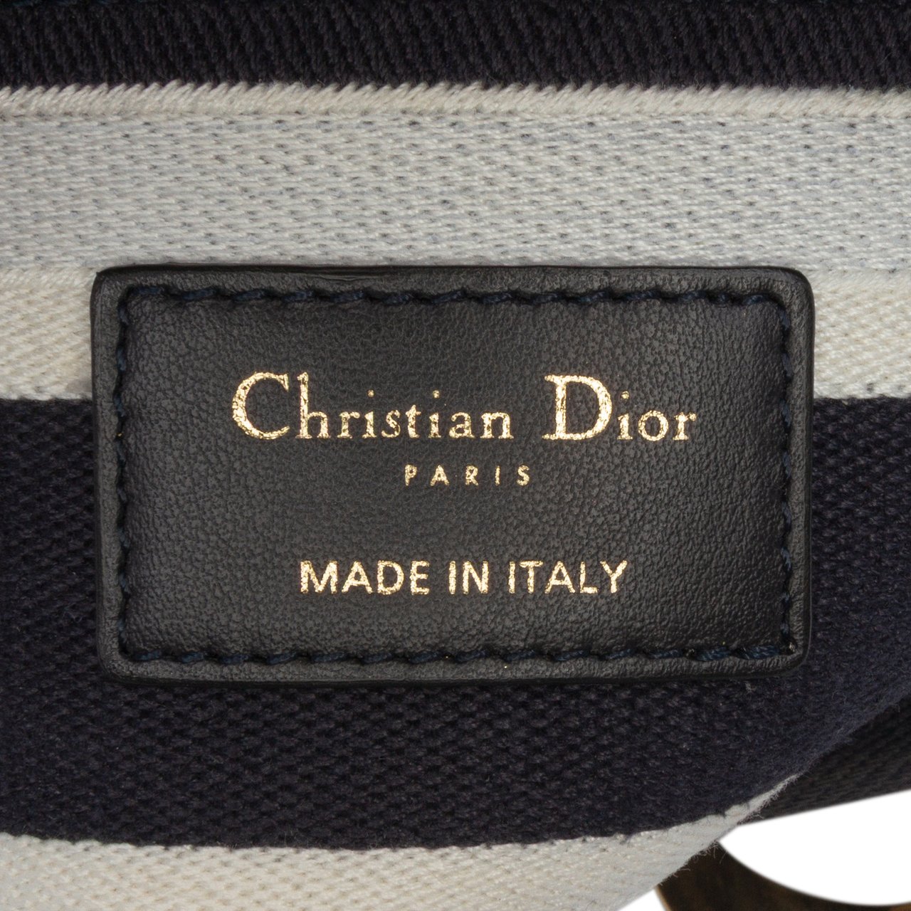 Dior Medium Embroidered Canvas Cornely Lady D Lite Blauw