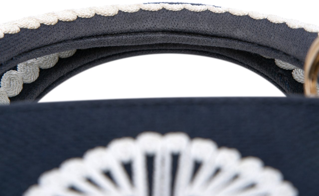 Dior Medium Embroidered Canvas Cornely Lady D Lite Blauw