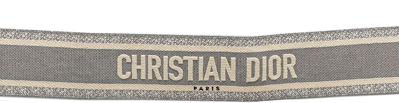 Dior Embroidered Logo Strap Grijs