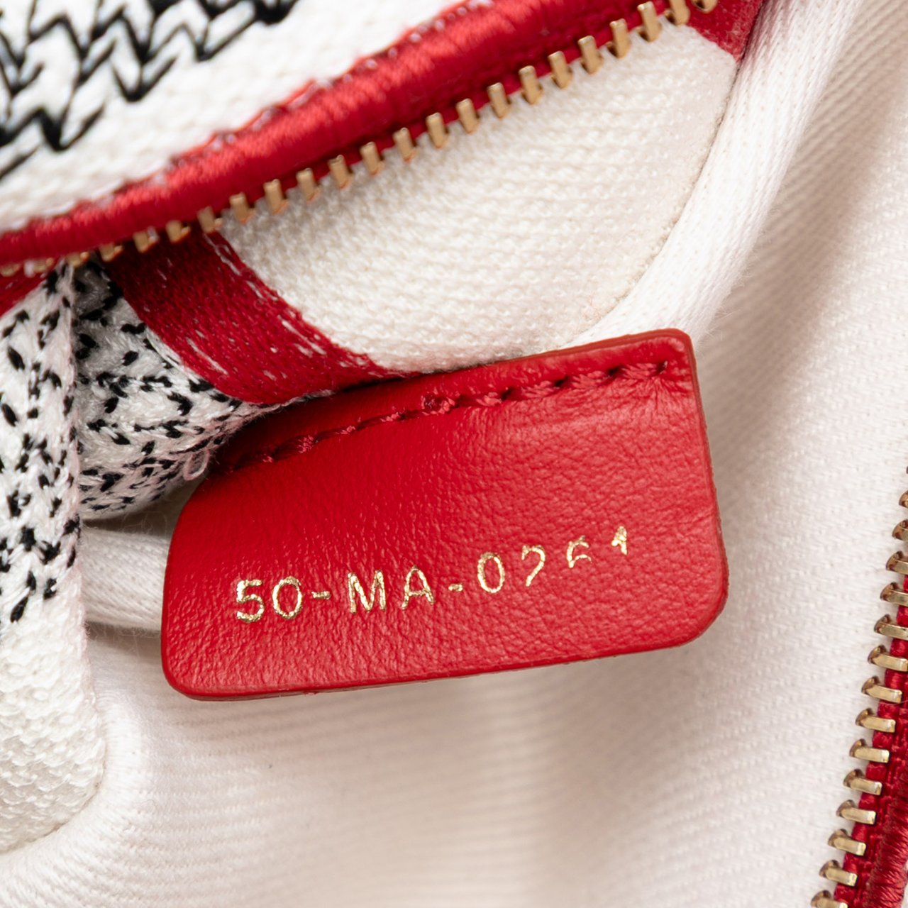 Dior DiorAmour Medium Embroidered Canvas Royale Lady D Lite Rood