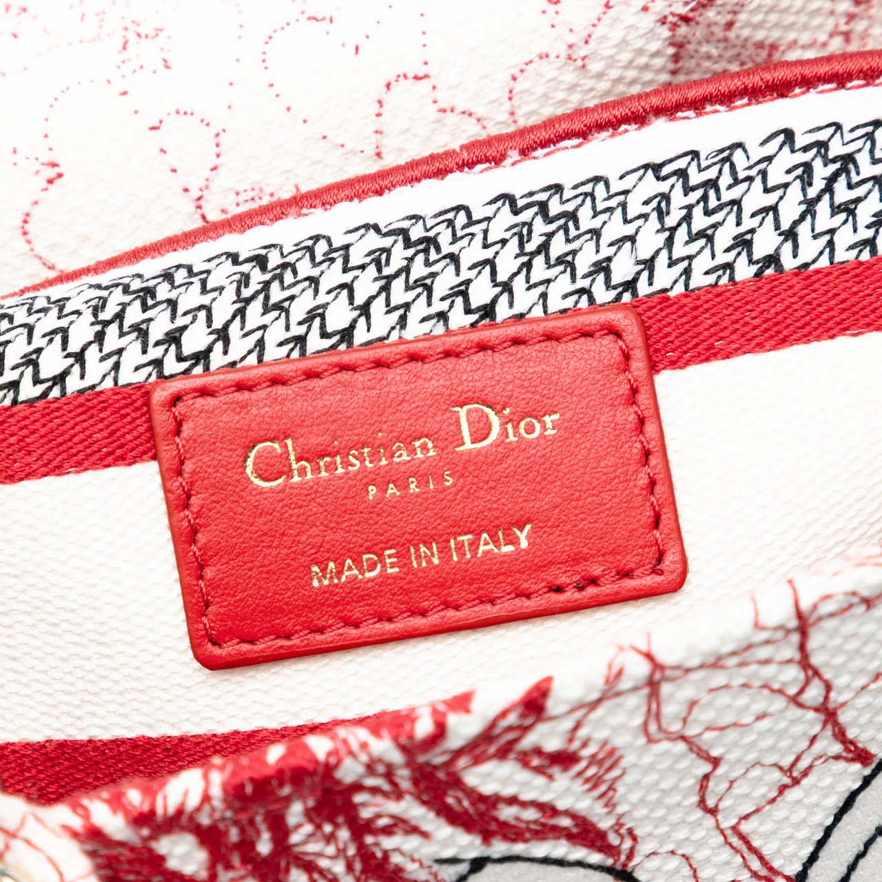 Dior DiorAmour Medium Embroidered Canvas Royale Lady D Lite Rood