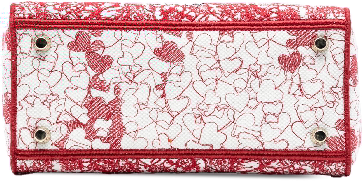 Dior DiorAmour Medium Embroidered Canvas Royale Lady D Lite Rood