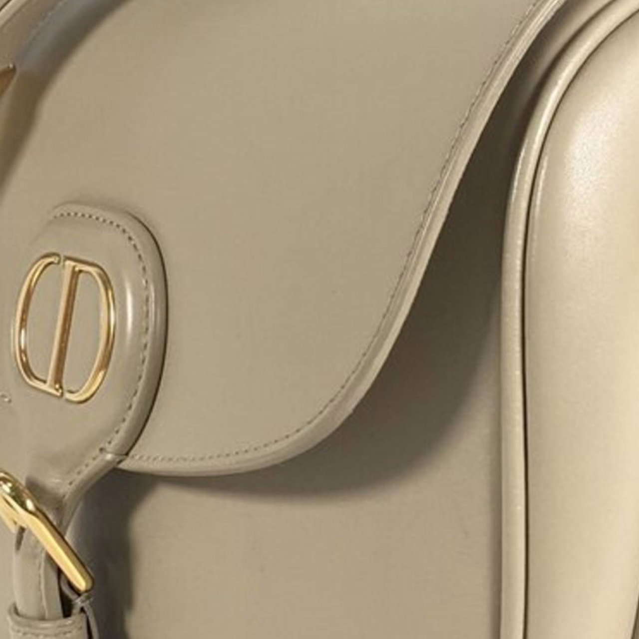 Dior Medium Leather Bobby Bruin