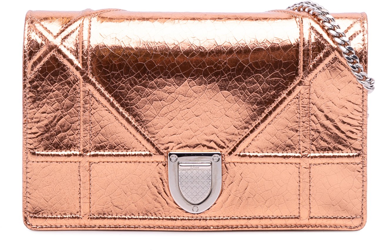 Dior Metallic Ceramic Effect Deerskin Diorama Wallet on Chain Goud