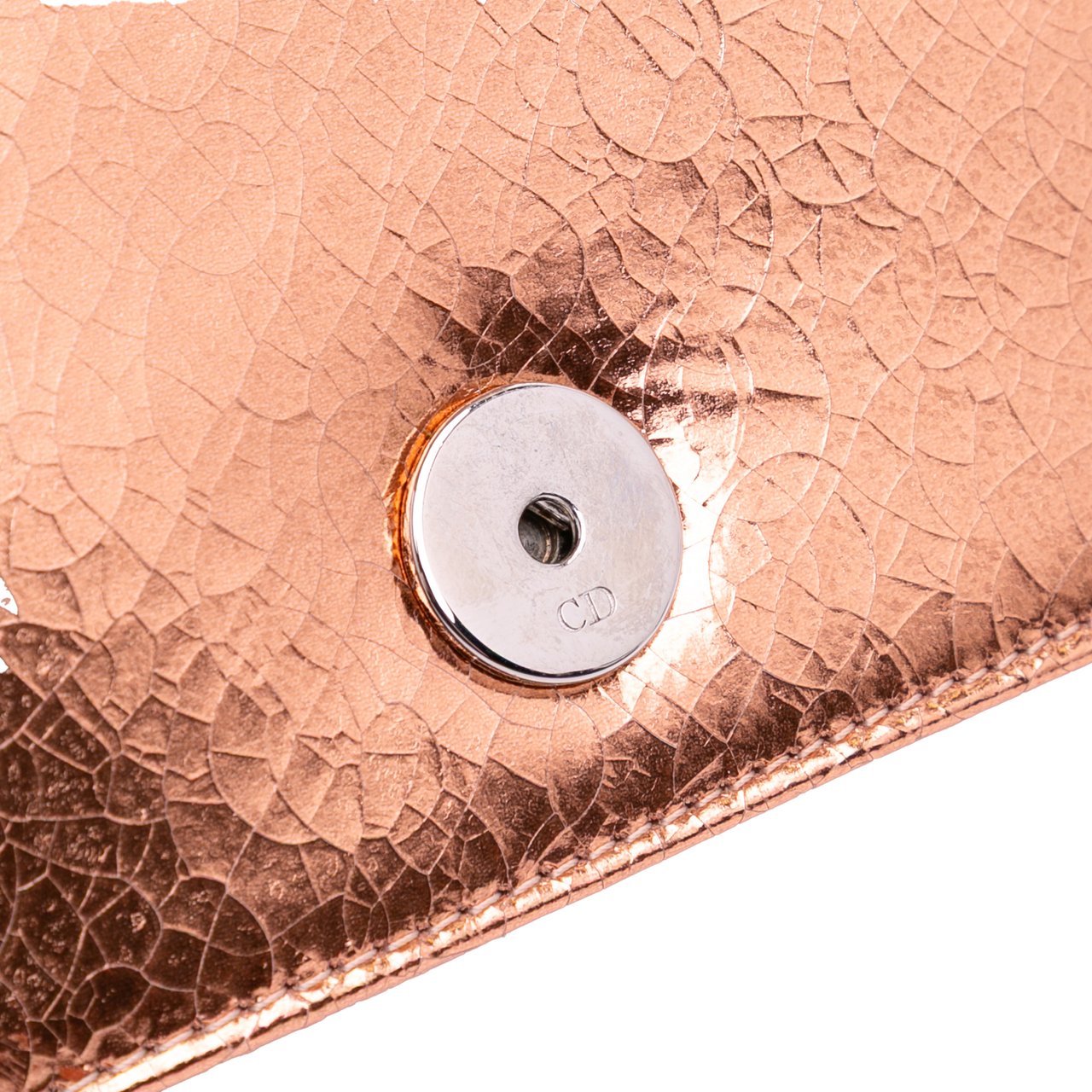 Dior Metallic Ceramic Effect Deerskin Diorama Wallet on Chain Goud