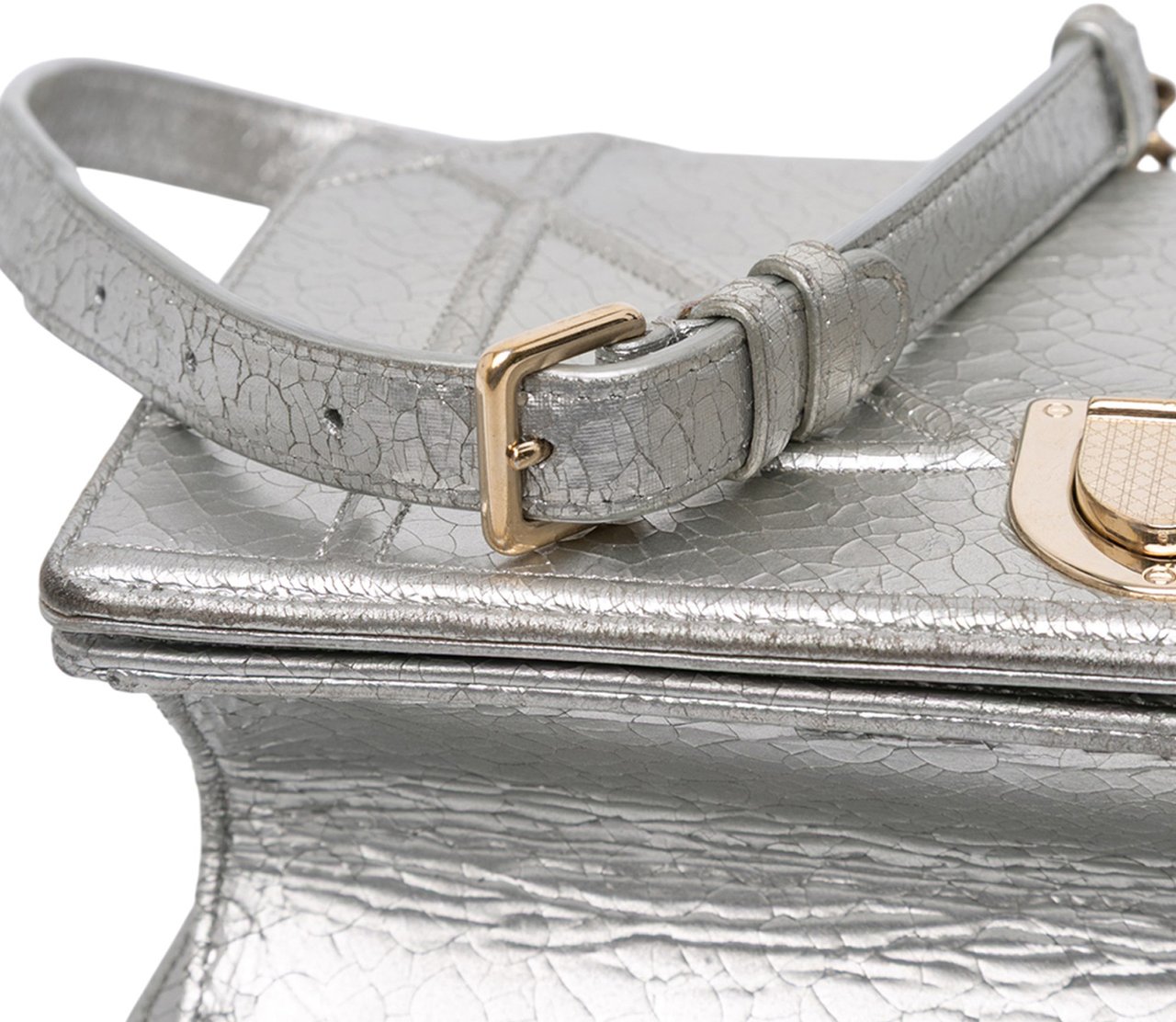 Dior Medium Metallic Ceramic Effect Deerskin Diorama Flap Zilver