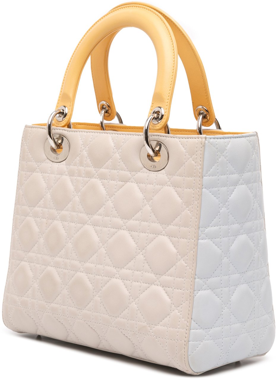 Dior Medium Tricolor Lambskin Cannage Lady Dior Bruin