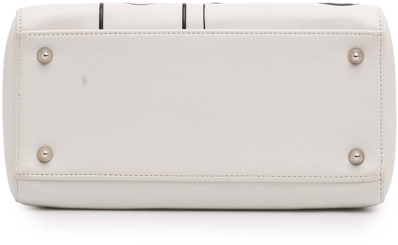Dior Medium Lambskin Paradise Lady Dior Wit