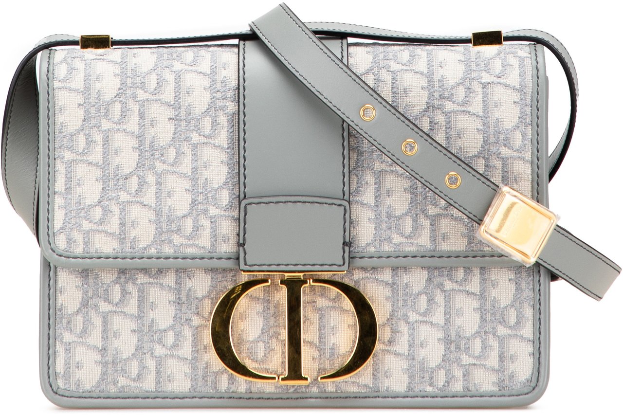 Dior Medium Oblique Canvas 30 Montaigne Bag Grijs