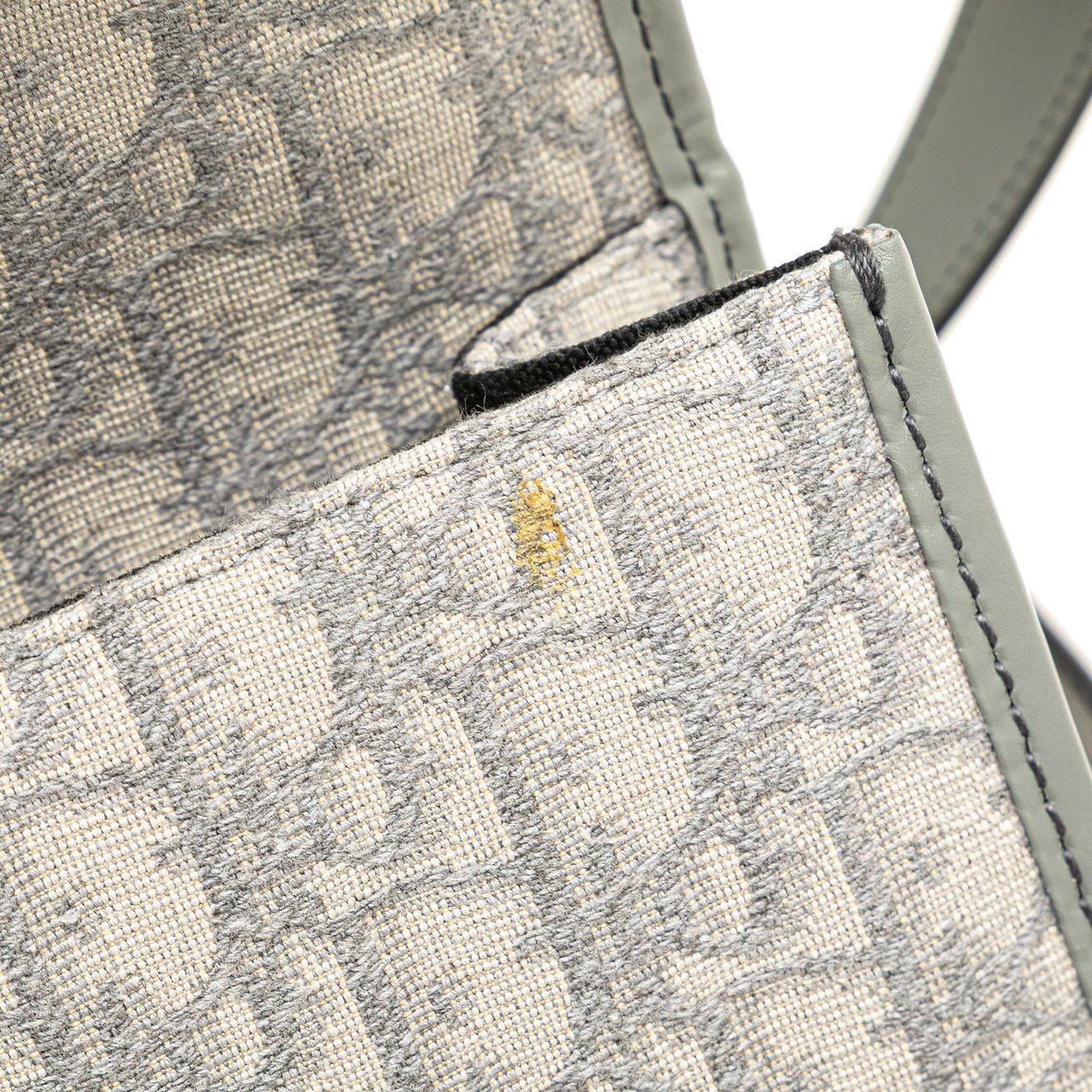 Dior Medium Oblique Canvas 30 Montaigne Bag Grijs