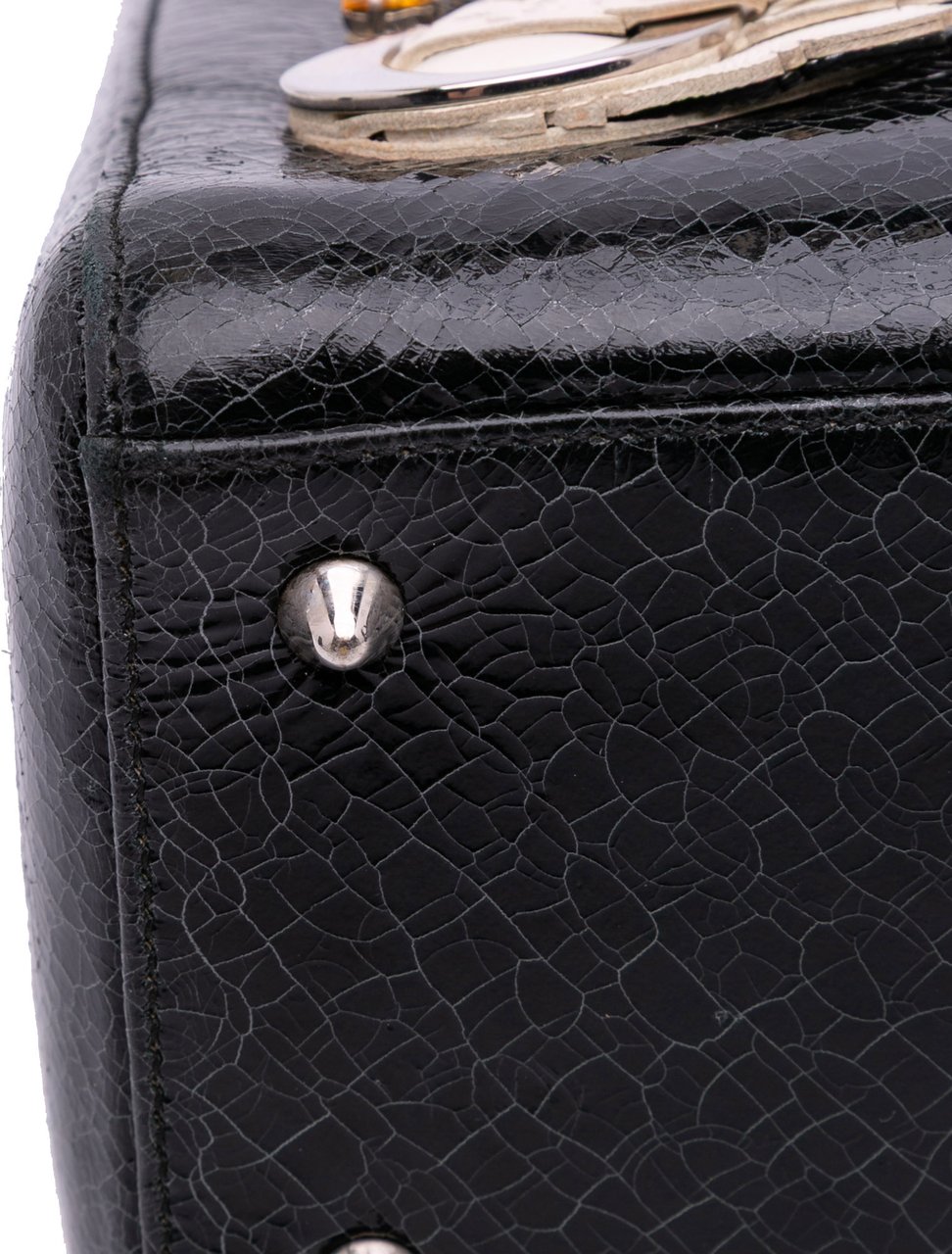 Dior Medium Ceramic Effect Deerskin Jeweled Swan Lady Dior Zwart