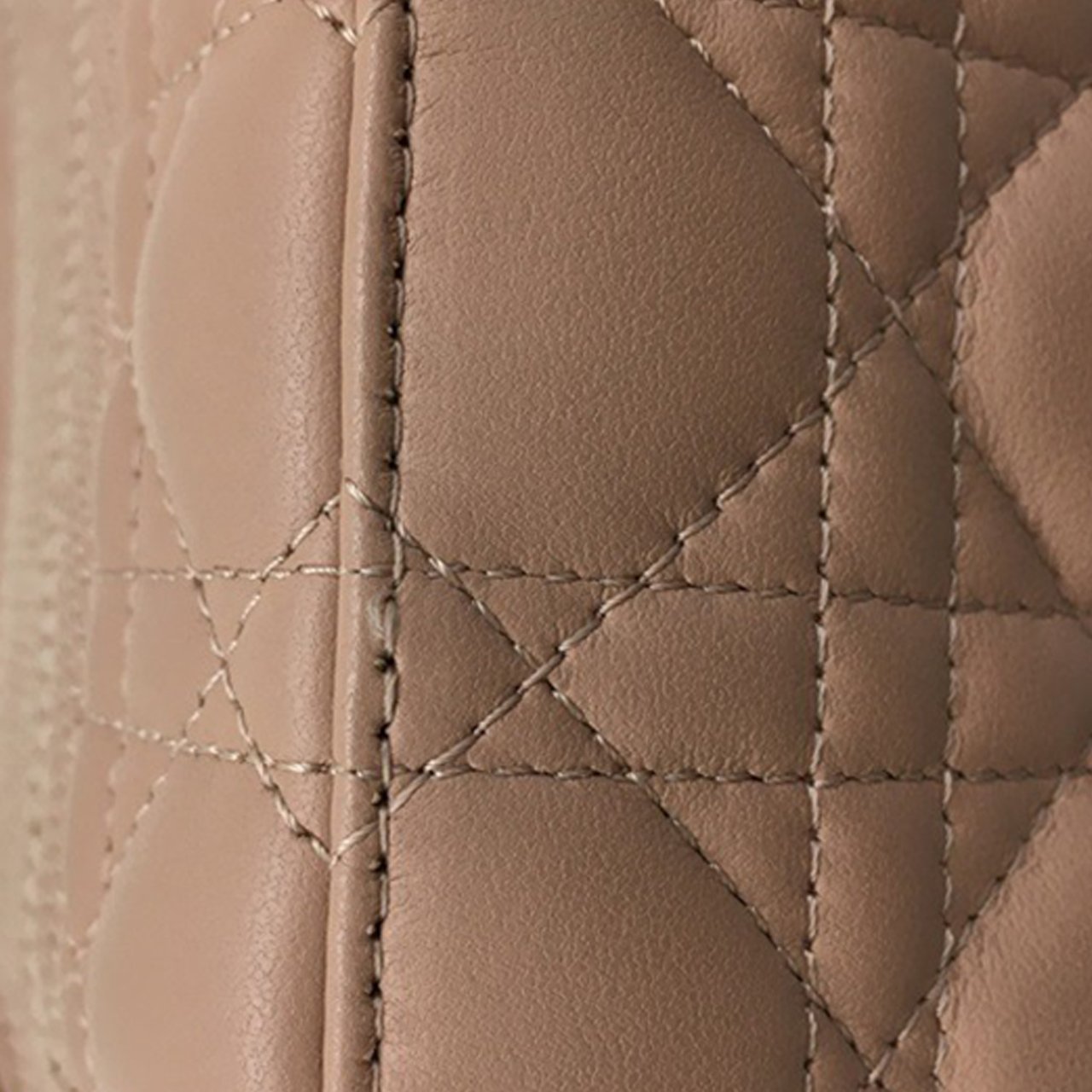 Dior Small DiorTravel Vanity Bag Bruin