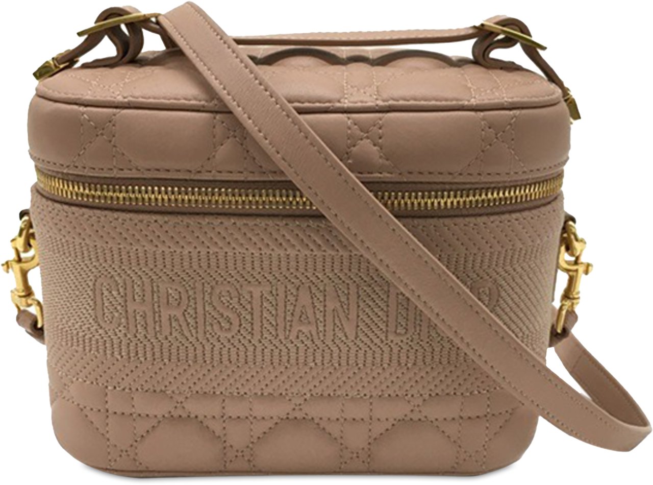 Dior Small DiorTravel Vanity Bag Bruin