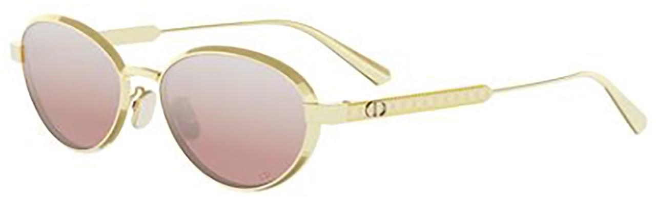 Dior Dior DIORCANNAGE R1U Zilver