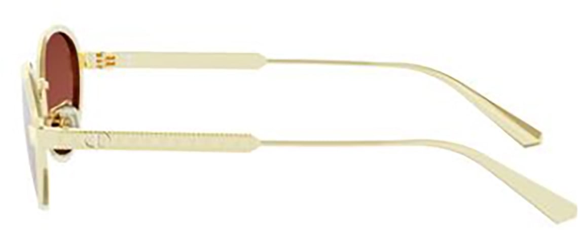 Dior Dior DIORCANNAGE R1U Zilver