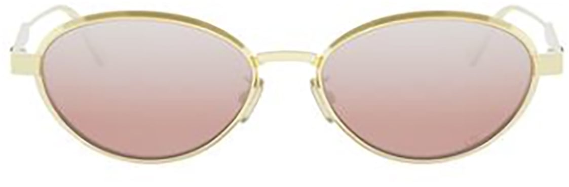 Dior Dior DIORCANNAGE R1U Zilver