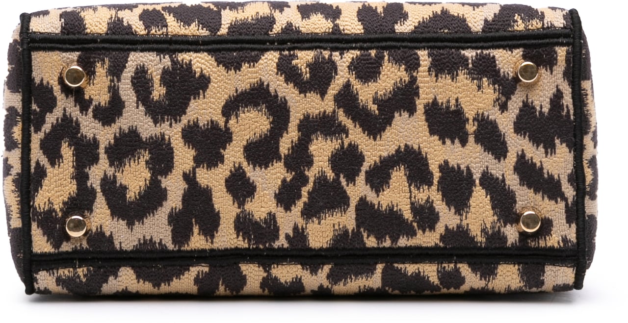 Dior Mizza Medium Leopard Embroidered Canvas Lady D Lite Bruin